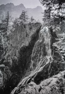 8. La chevelure de Berenice, Alpes de Haute Provence, 1985                                                            