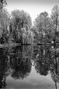 7.Giverny,1990                                                